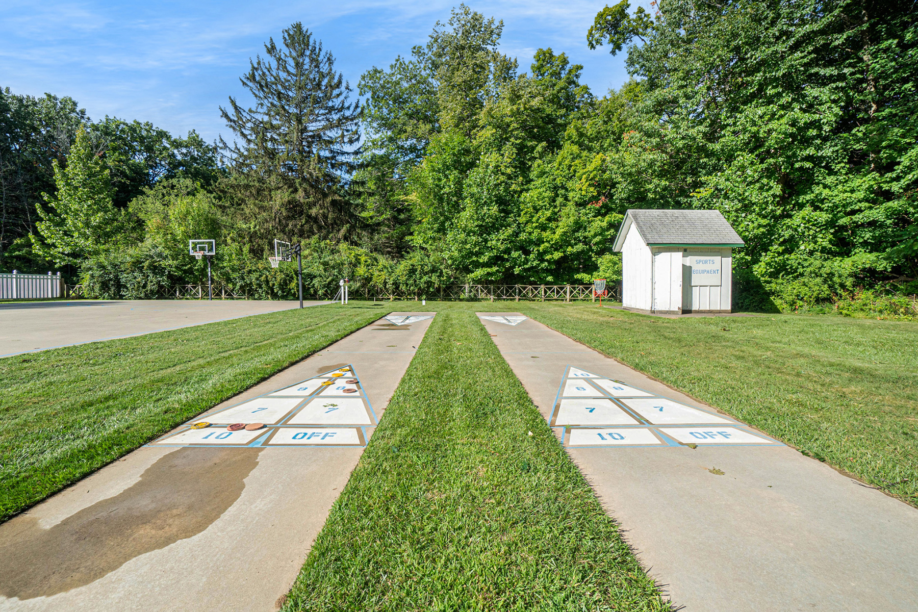 Shuffleboard
